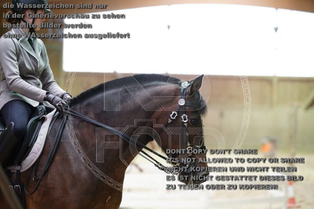 s_K3F07933.JPG